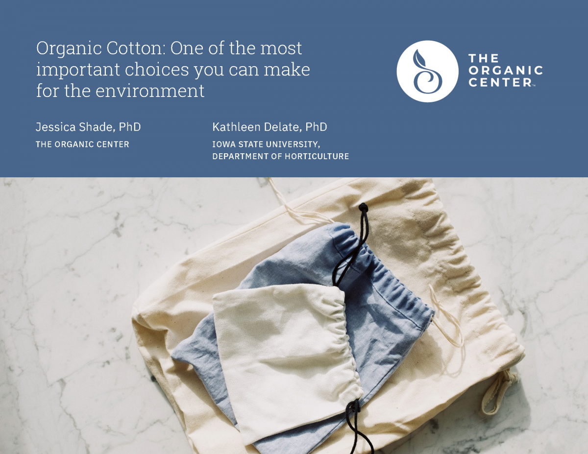 All about organic cotton: Way to sustainable fashion