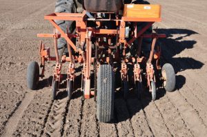 Drill Planting