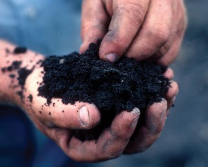 Photo Credit: Natural Resources Conservation Service: Soil Health