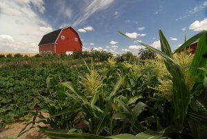 Photo Credit: US Department of Agriculture