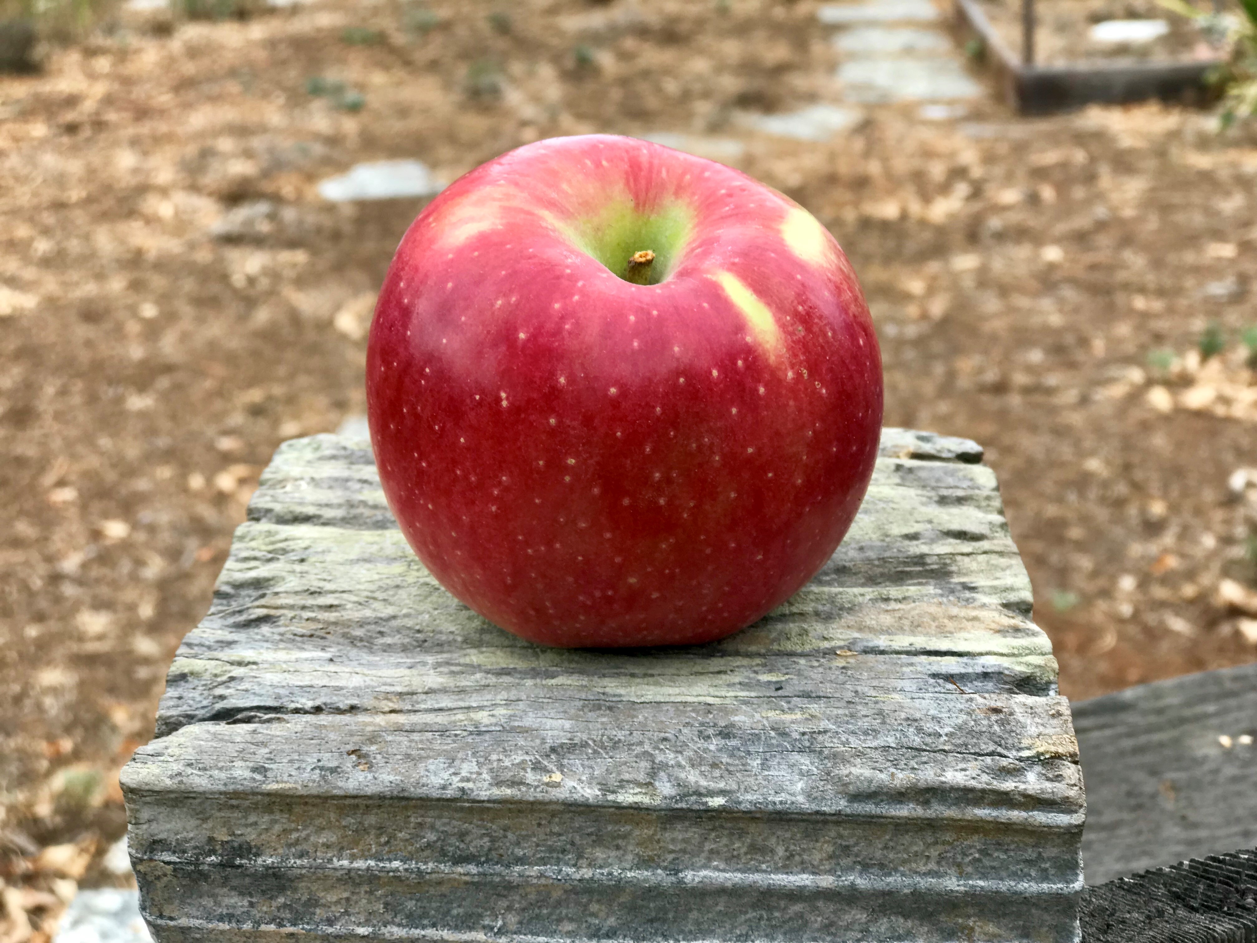 What Makes Apples Organic?