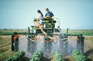 Spraying - HiBoy cotton