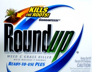 Roundup