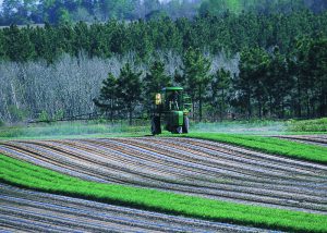 Photo Credit: Jeff Vanuga, USDA Natural Resources Conservation Service