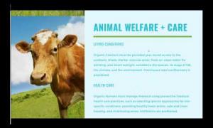 Choosing organic is an easy way to avoid pesticide, antibiotic, and synthetic growth hormone residues in milk